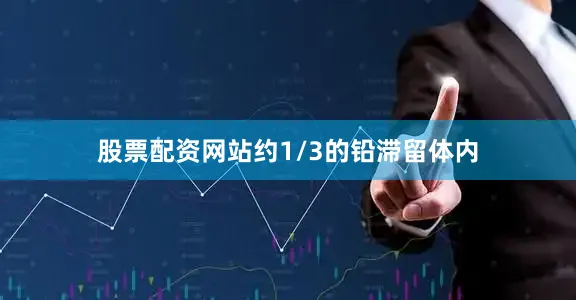 股票配资网站约1/3的铅滞留体内