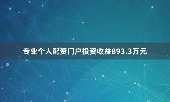 专业个人配资门户投资收益893.3万元