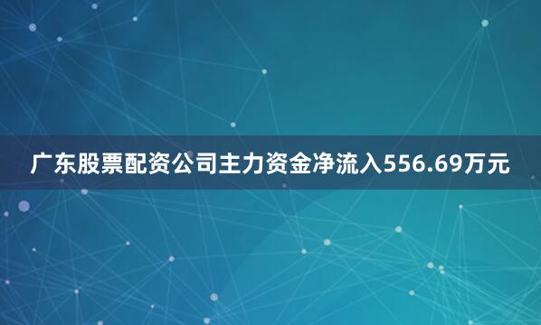 广东股票配资公司主力资金净流入556.69万元