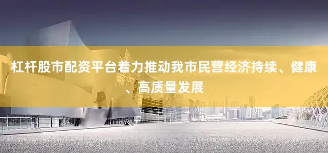 杠杆股市配资平台着力推动我市民营经济持续、健康、高质量发展