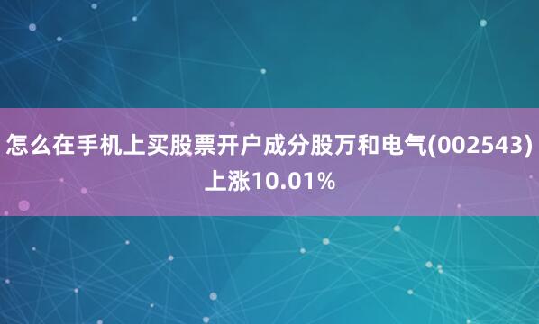 怎么在手机上买股票开户成分股万和电气(002543)上涨10.01%