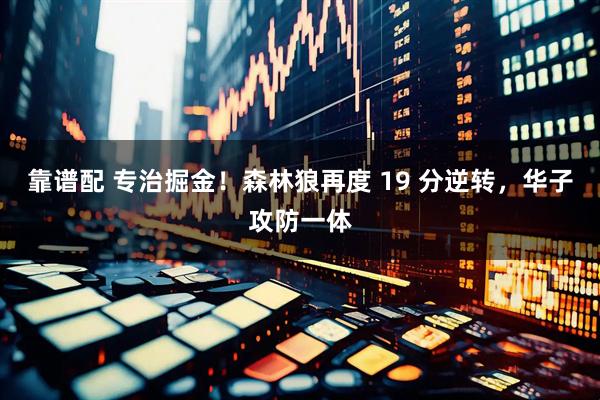 靠谱配 专治掘金！森林狼再度 19 分逆转，华子攻防一体